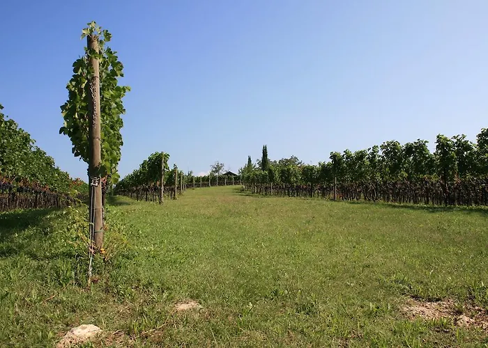 Maso Di Relais Di Campagna Susegana